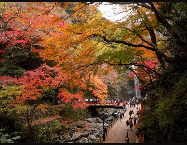 箕面公園｜大阪府・箕面市
