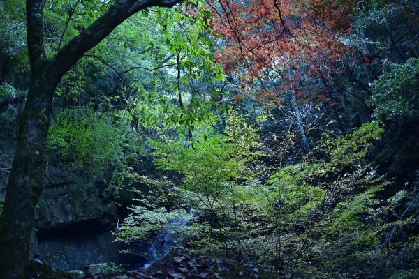 牛滝山 大威徳寺｜大阪府・岸和田市
