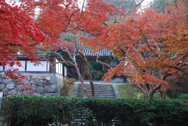 正暦寺｜奈良県・奈良市