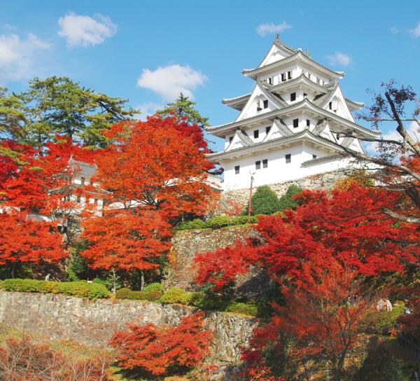 郡上八幡城｜岐阜県・郡上市