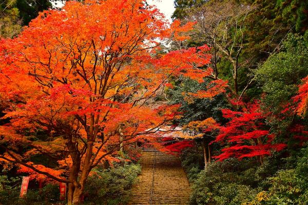 室生寺｜奈良県・室生