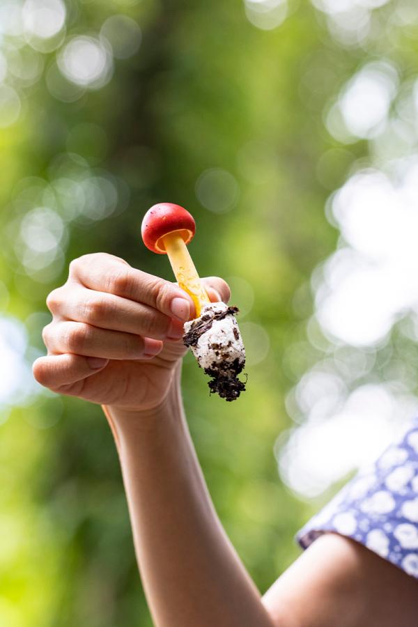 体験型ホテル〈トヨタ白川郷自然學校〉に泊まり、大自然の中で大人も遊び、学び、癒される。