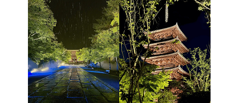 仁和寺 青もみじ雲海ライトアップ ～雲海と528Hz癒しのサウンドガーデン～