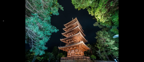 【京の夏の夜の旅】世界遺産　仁和寺「国名勝庭園 観賞デッキ（仮称）」特別公開と幻想の境内ライトアップ