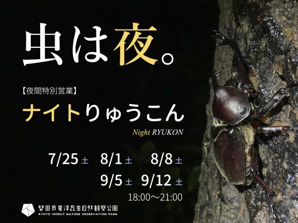 真夏の夜の昆虫観察！「ナイトりゅうこん」入園＠磐田市竜洋昆虫自然観察公園
