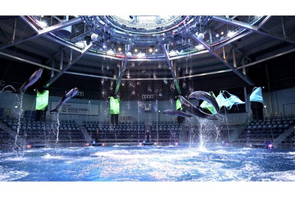 音・光・映像と生きものが融合する水族館～マクセル アクアパーク品川～
