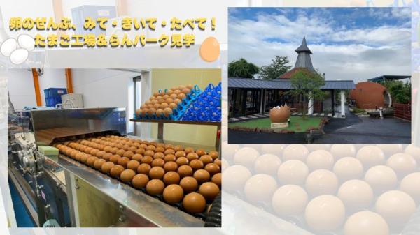 【EXサービス会員限定】卵のぜんぶ、みて・きいて・たべて！たまご工場＆らんパーク見学（お食事付き）