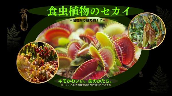 ≪8月15日（土）開催≫【秘密に迫る】個性的で魅力的！？食虫植物の世界を学んで、観察して、育ててみよう♪