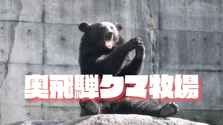 奥飛騨クマ牧場 入場チケット＆エサやり体験（クマの大好物ドライフルーツ付き）