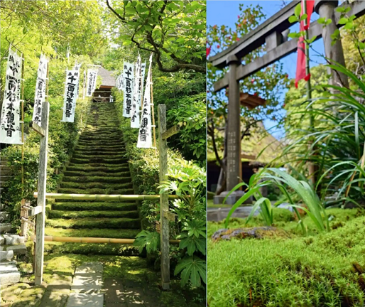 ＜11/28(土)・29(日)開催＞【鎌倉最古のお寺「杉本寺」】で苔師と苔住職と楽しく学ぶ御開帳と苔テラリウム