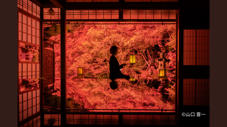 【紅葉のリフレクションを５分間独り占め】東光寺　貸切撮影ライトアップ