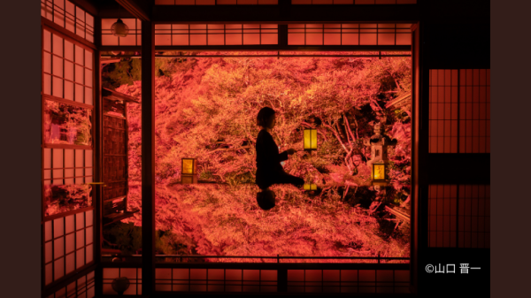 【紅葉のリフレクションを５分間独り占め】東光寺　貸切撮影ライトアップ