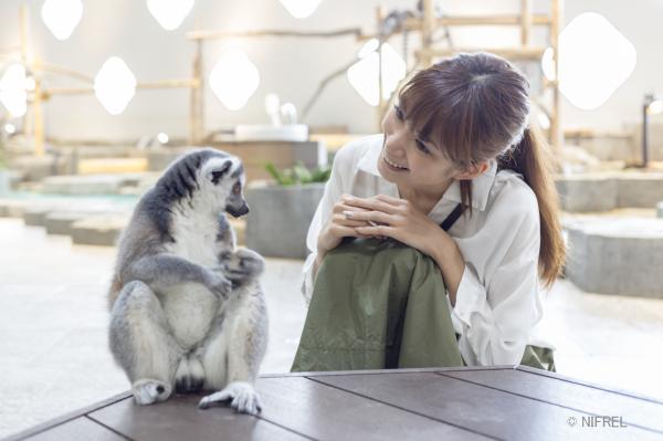「生きているミュージアム ニフレル」入館券（ＥＸきっぷ購入者限定）