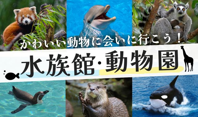 水族館・動物園特集