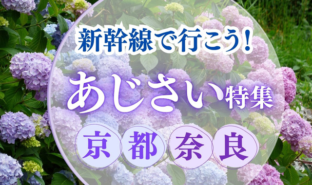 新幹線で行こう! あじさい特集 京都・奈良
